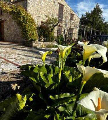 Agriturismo Santa Venera