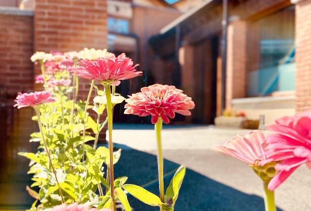 Agriturismo Teresa delle Fragole