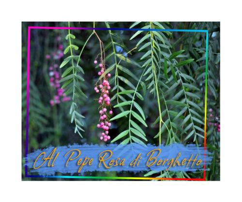 Al Pepe Rosa di Borghetto