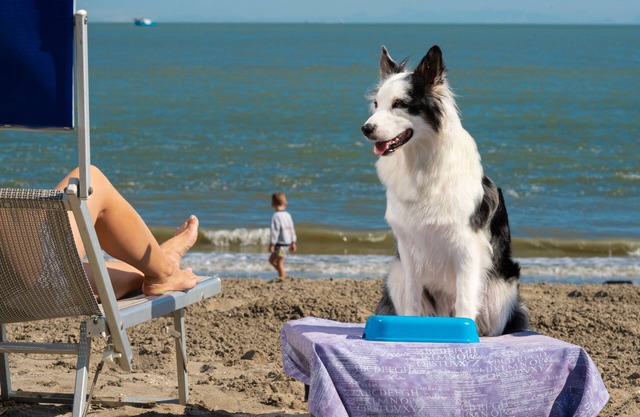 Albarella V3 3, Isola di Albarella, Italy