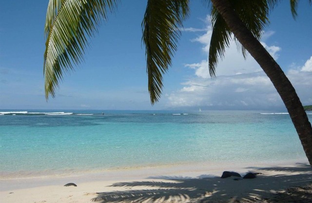 Alizés Bungalows Sarl - Location Bungalow Cerise 1