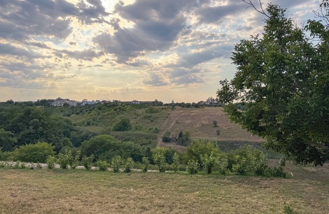 All'ombra della quercia