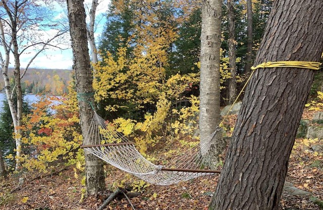 All Season Muskoka Cottage