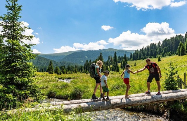 Almhaus Völkl - Ferienwohnung Elisabeth