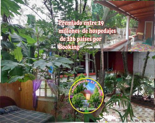 Alojamiento El Bosque