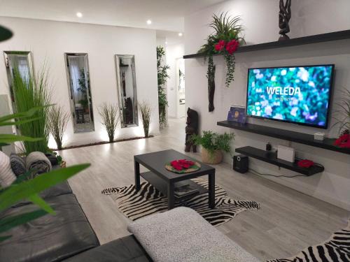 Alojamiento PLAZA CASCO HISTORICO