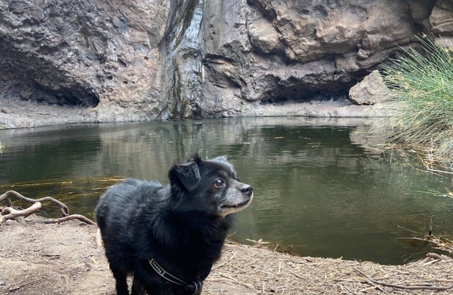 Alojamientos Charco Azul