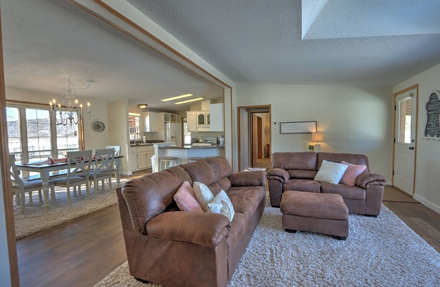 Alpaca My Bags & Alpaca Experience!