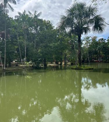 Aluguel cop 30 casa vila Firenze