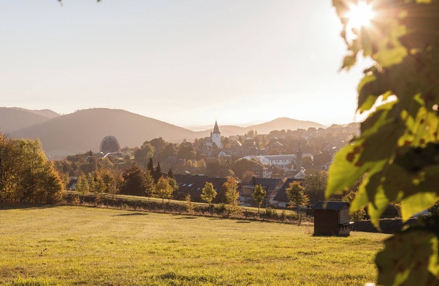 Am Südhang 27 Winterberg | Cozy holiday home near center & ski area