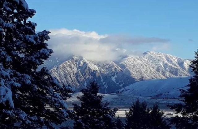 AMAZING CABIN IN THE WOODS! 70 acres Bordering National Forest to S & W.