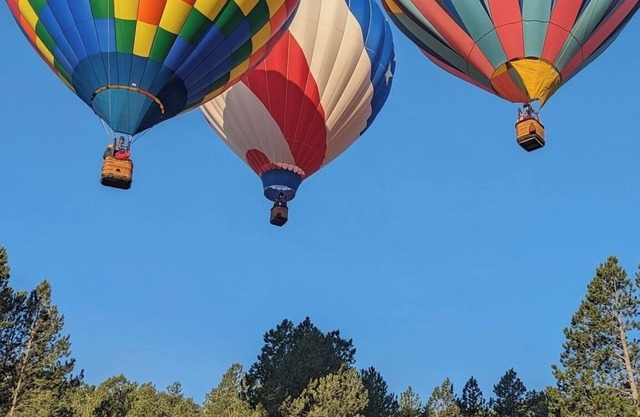 Amazing Cabin on 15 Acres of Woods Adjacent to Custer State Park