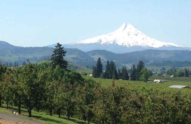 Amazing Mt. Hood and Valley Views at Ziphaus!