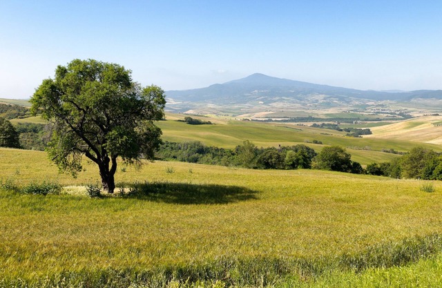Amazing view 3 bdr villa with pool & A/C in Pienza | Leccino