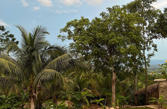 Amazon Paradise WiFi Starlink Work or Relax