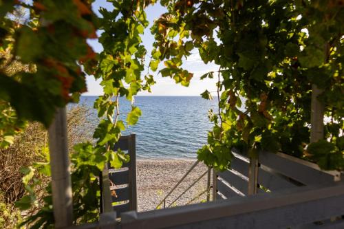 Ammoudeli Apartments