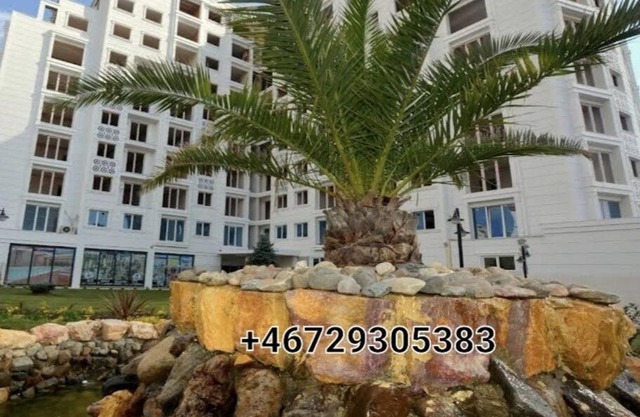 an apartment 2+1for rent