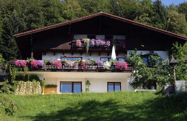 Angela Siedl - Apartment