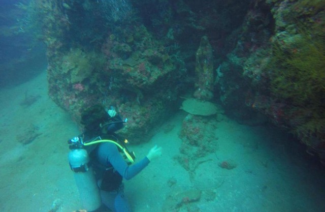 Anilao Scuba Dive Center (ASDC)
