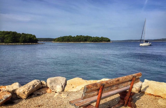 Animals accepted for the whole family