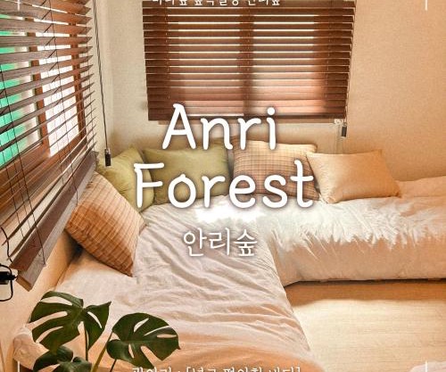 Anri forest Stay rooftop