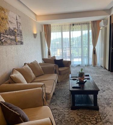 Apartament executive vedere munte Alpin Resort Poiana Brasov