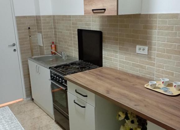Apartament Herculane cu vedere la munte