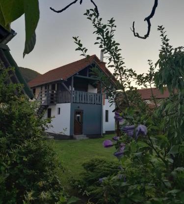 Apartamente Ambrus Praid