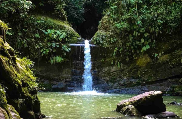 Apartamento Mafi - House