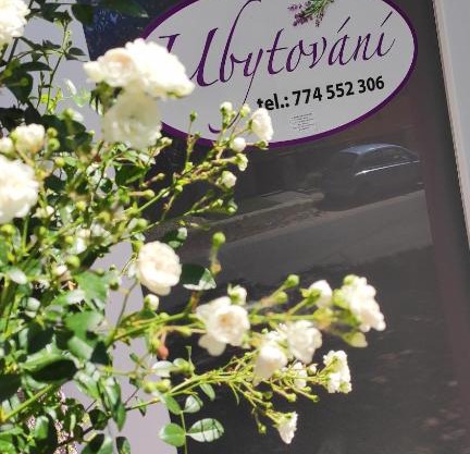 Apartmán Café u Kordulky