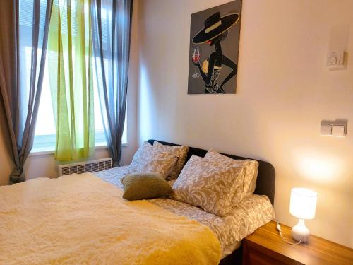 Apartment ČSA #5 in the Historic Center Hradec Králové