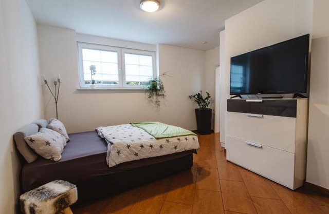 Apartment 1 Zimmer EG