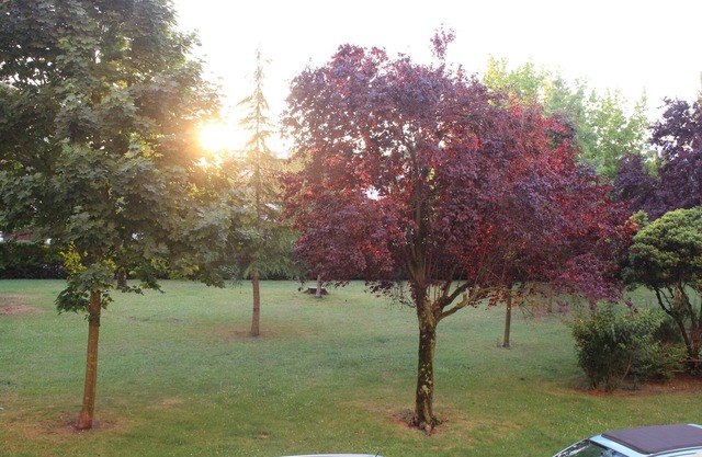 APARTMENT 5 PERSONS BORDEAUX OUEST special companies