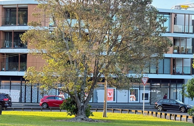 Apartment at Mount Eden with a Car Park