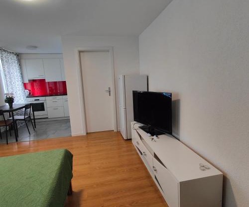 Apartment Buchental , Ruhig und zentral in St Gallen