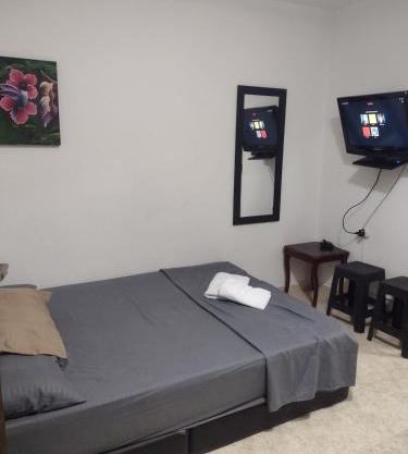 apartment cozy studio