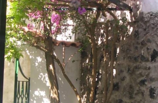 Apartment/flat - Ischia