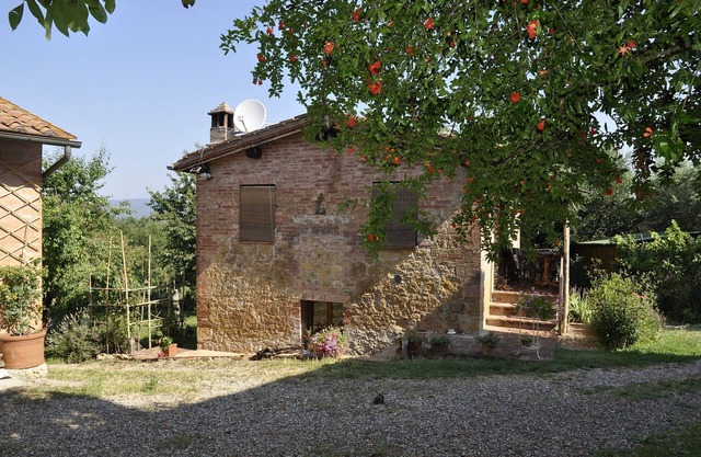 Apartment/Flat - Sovicille