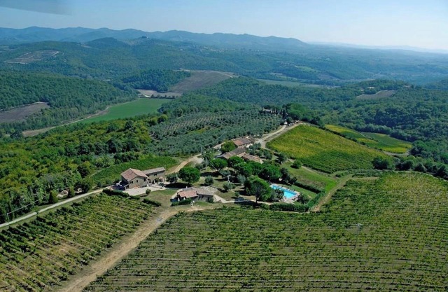 Apartment in an idyllic holiday complex in the middle of the winery B3