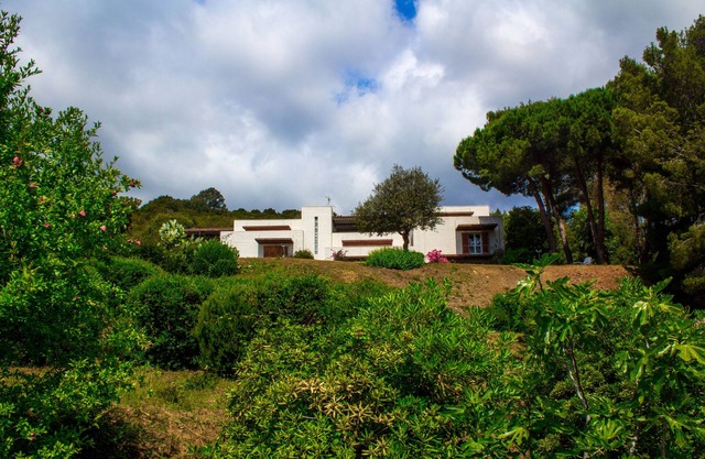 Apartment in the hills, in the green, with wonderful sea view on Elba Island