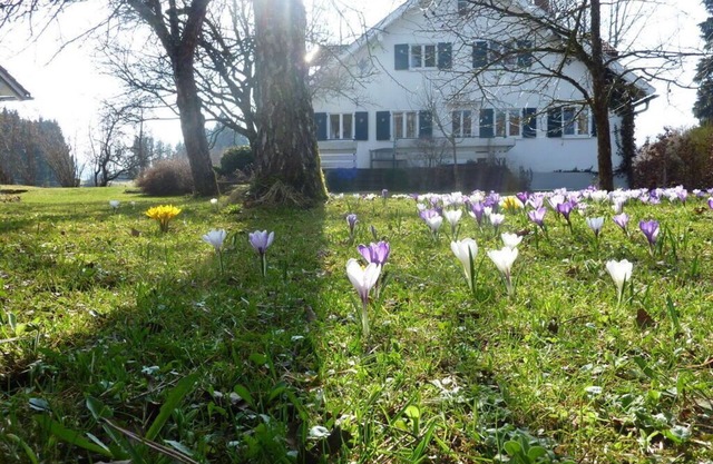 Apartment in Thuringia