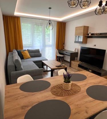 Apartment R&L Švermová - 2 min ESC, balcony