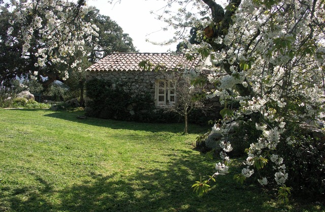Apartment 'Rosmarino' with Shared Pool, Private Garden and Air Conditioning