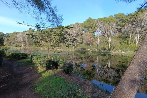 Apartment with balcony near beach
