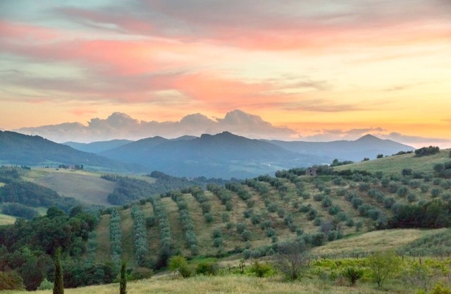 Apartment with garden panoramic terrace