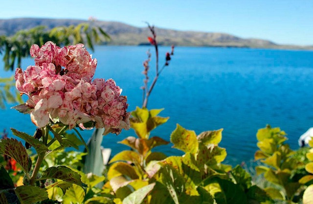 Apartments Ljubica (90181-A2) - Metajna - island Pag
