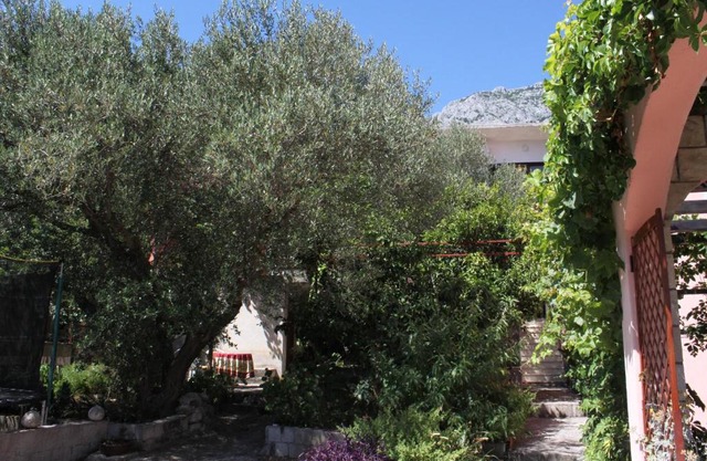 Apartments with a parking space Tucepi, Makarska - 6775