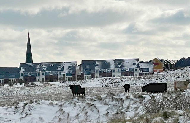 App. Seaside moments - gateway to the sea