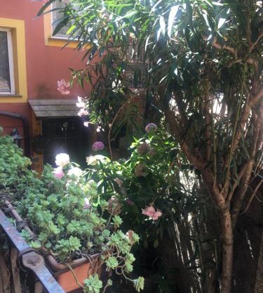 Appartamento Fiordaliso