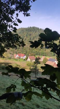 Appartement douillet avec vue sur les montagnes